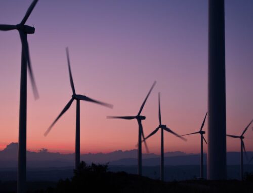 Wind turbines are neither clean nor green – @mattwridley